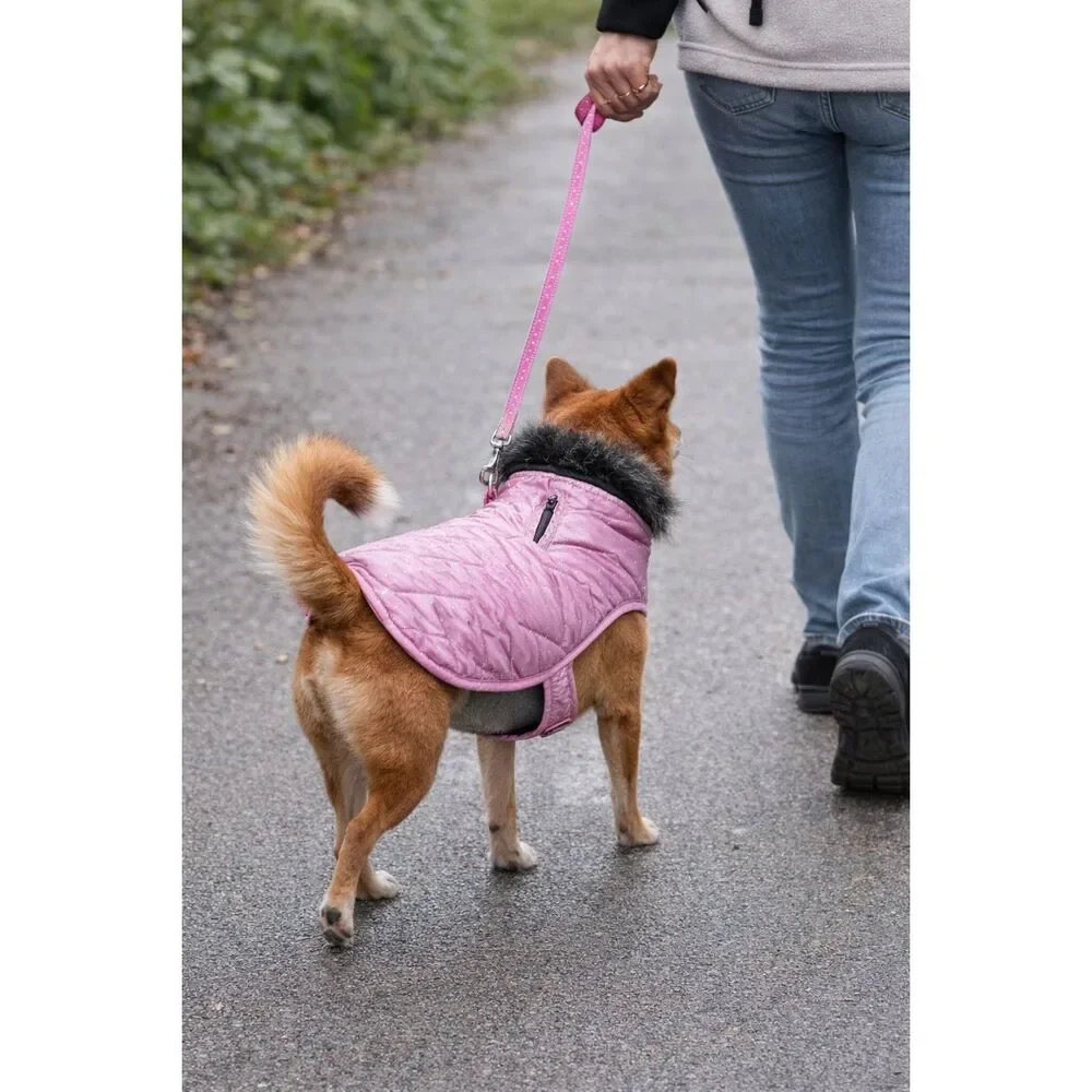 Pet Spirit Holographic Purple Dog Jacket Size M | Quilted Winter Pet Coat Faux F